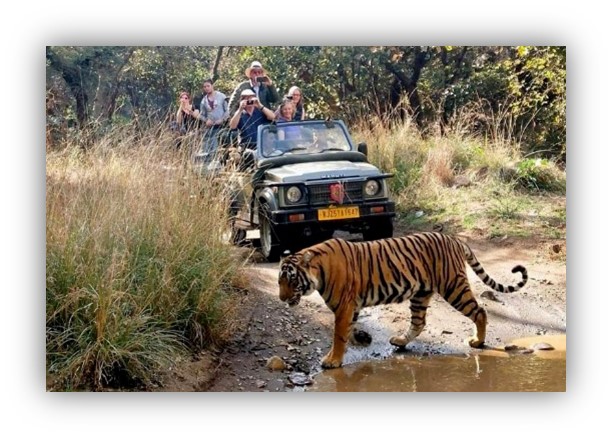 Ranthambhore