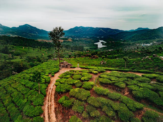 Munnar